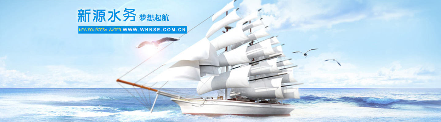 武漢新源水務(wù)環(huán)境工程有限公司